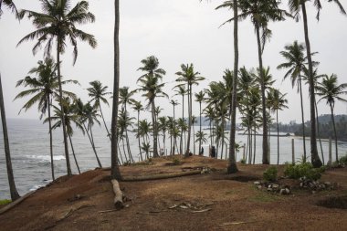 Mirissa, Sri Lanka halkı Mirissa plajında ünlü bir gözcü..