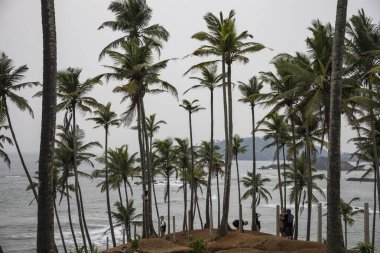 Mirissa, Sri Lanka halkı Mirissa plajında ünlü bir gözcü..