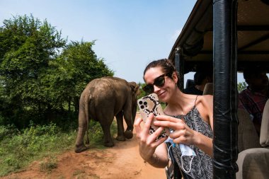 Udawalawa, Sri Lanka, Udawalawe Ulusal Parkı Safari Parkı 'ndaki Filler.