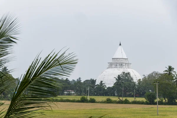 Tissamaharama Stupa佛教寺庙俯瞰田野 — 图库照片