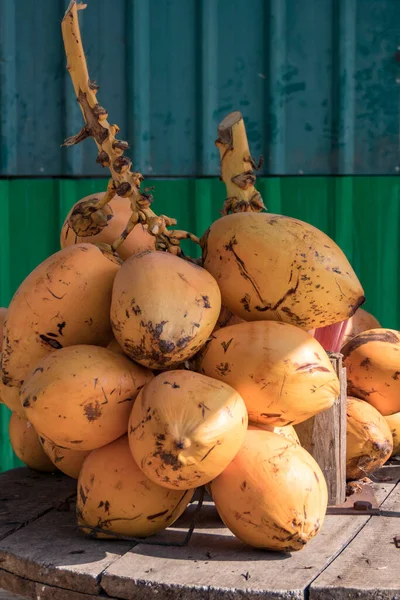 Unawatuna, Sri Lanka Frsh hindistan cevizi yığını.