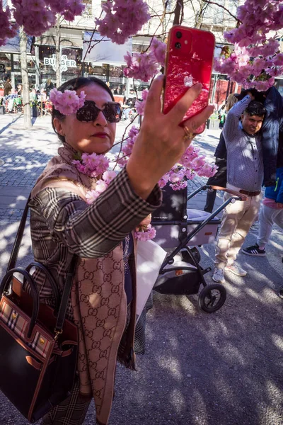 Stockholm Schweden Menschen Bewundern Die Jährlichen Kirschblüten Kungstradgarden Park Der — Stockfoto