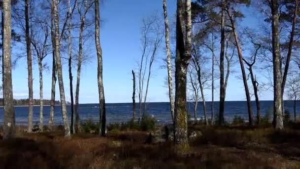 Vanersborg Sweden Shore Sweden Largest Lake Vanern Hjortens Fyr — стоковое видео
