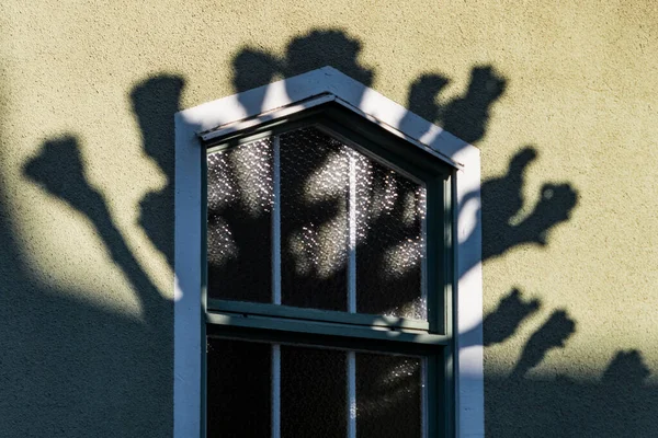 Vanersborg Suède Arbres Pollen Dans Ombre Projetés Sur Une Fenêtre — Photo