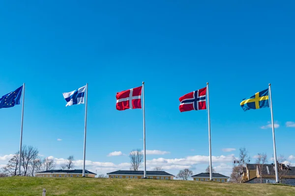 Sunnana Sweden Row Flags Finland Norway Denmark Sweden — Fotografia de Stock