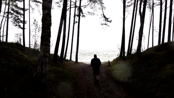 Μελαγχόλες Λετονία Ένας Άνθρωπος Περπατά Ένα Πευκοδάσος Στη Βόρεια Λετονία — Αρχείο Βίντεο