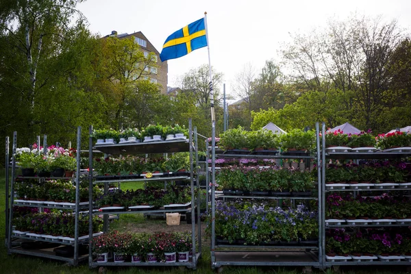 Stoccolma Svezia Una Bandiera Svedese Sventola Piccolo Giardino All Aperto — Foto Stock