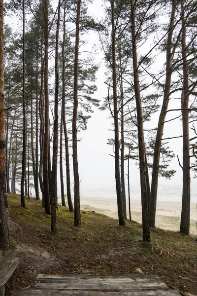 Melnsils Letonia Una Playa Día Nublado Lluvioso —  Fotos de Stock