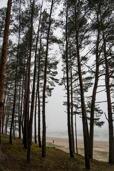 Melnsils Lettland Ein Strand Einem Nebligen Und Regnerischen Tag — Stockfoto