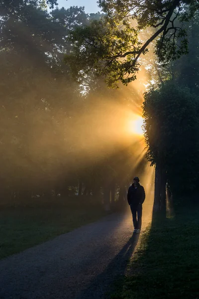 Sztokholm Szwecja Poranne Promienie Słoneczne Lśnią Przez Człowieka Idącego Ścieżką — Zdjęcie stockowe