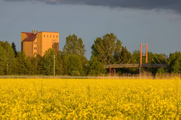 Nykvarn Schweden Ein Gelbes Rapsfeld Und Die Autobahn — Stockfoto