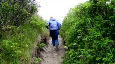 Hirtshals, Danimarka Kum tepelerindeki yeşilliklerde yürüyen bir kadın. 