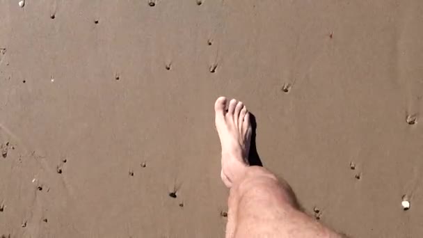 Hirtshals Denmark Man Walk Alone North Sea Beach Sun — Stock Video