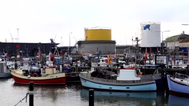 港内のデンマーク漁船 ヒルトシャル — ストック動画