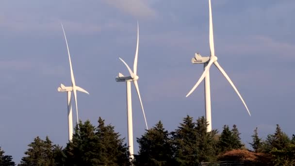 Hirtshals Danemark Les Éoliennes Tournent Dans Vent — Video