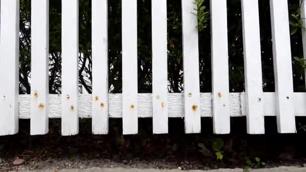 スケーガンデンマーク庭の白いピケットフェンス — ストック動画