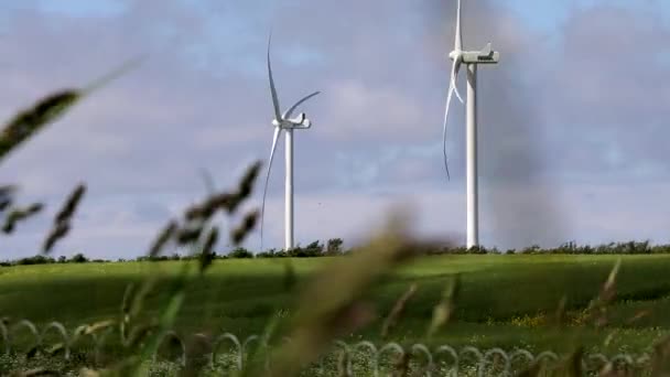 Hirtshaller Danimarka Rüzgarı Türbinleri Rüzgarda Dönüyor — Stok video