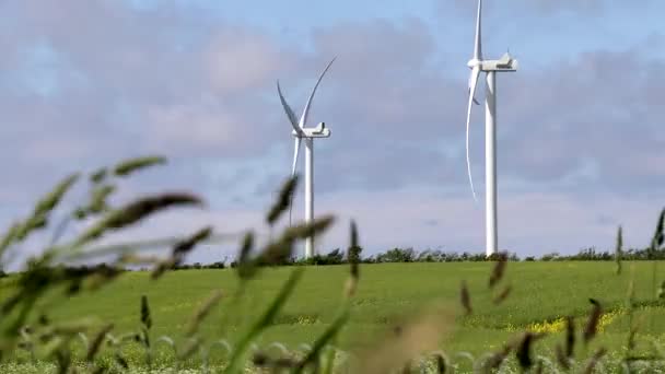 Hirtshals Denmark Wind Turbines Spinning Wind — Stock Video