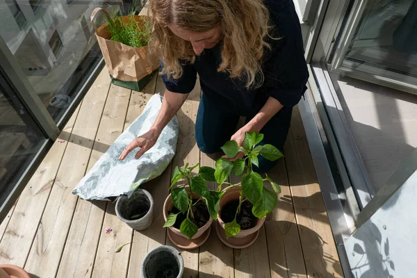 Estocolmo Suecia Una Mujer Atiende Sus Plantas Macetas Balcón Primavera —  Fotos de Stock