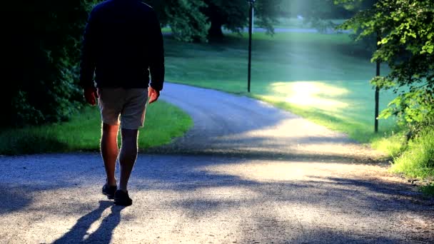 Stockholm Sweden Man Walks Park Dawn Summer — Stockvideo