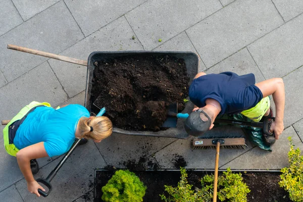 Stockholm Zweden Juni 2022 Professionele Tuiniers Scheppen Vuil Een Plantagegebied — Stockfoto