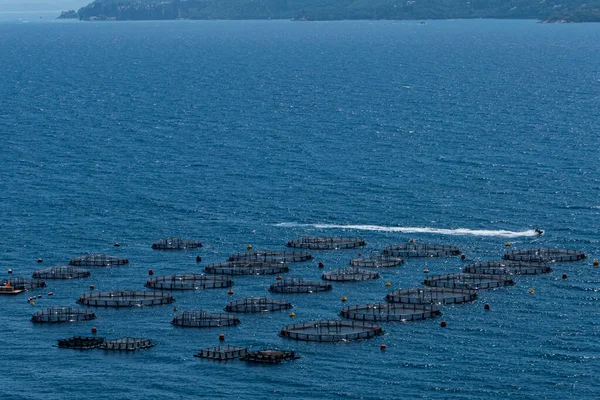 Ksamil Albania Jetskis Jeżdżący Wokół Hodowli Ryb Morzu — Zdjęcie stockowe