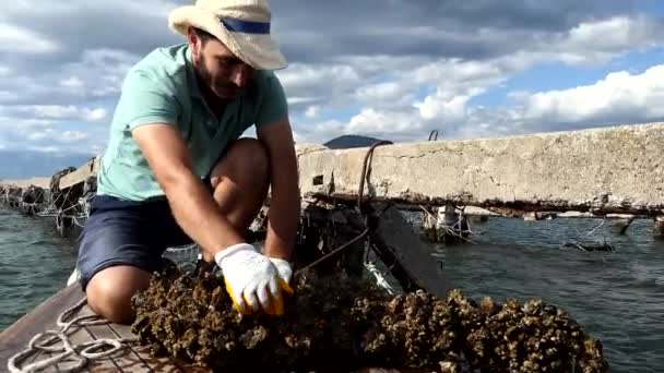 Ksamil Albania Small Mussel Fishing Boat Motors Out Mussel Beds — 图库视频影像