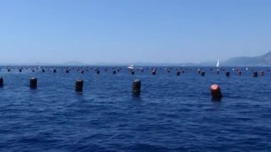 Ksamil, Albania Fish aquaculture in the Adriatic 