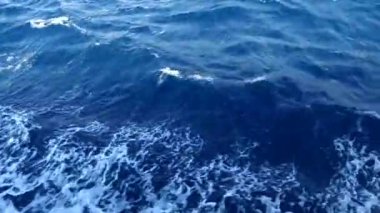 Arnavutluk 'tan Adriyatik Denizi' ni geçen feribot gibi bir deniz manzarası. 