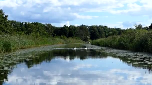 Faringso Sweden Small Motorboat Navigates Narrow Channel — Vídeos de Stock