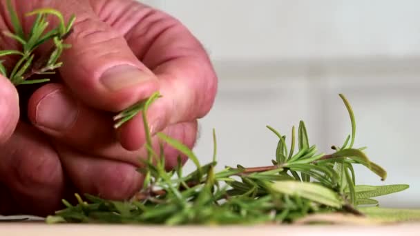 Fresh Rosemary Cutting Board — Stok Video