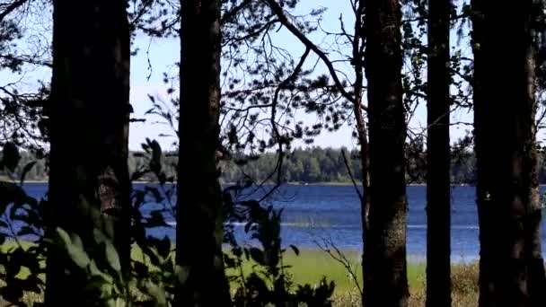 Skellefte Sweden Blue Lake Seen Forest — Stockvideo