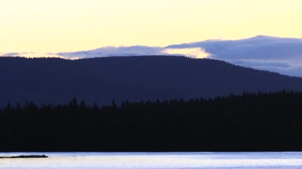 Sorsele Sweden Water Flowing Vendelaven River Dawn Swedish Lappland — Stockvideo