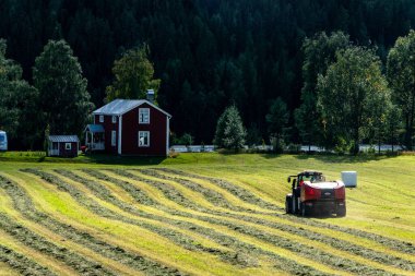 Umea, Sweden A tractor plows a field to make hay bales.