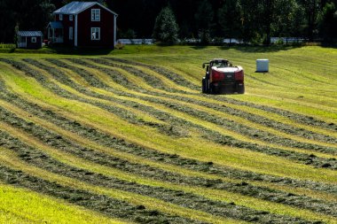 Umea, Sweden A tractor plows a field to make hay bales.