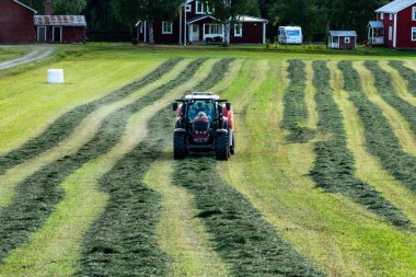 Umea, Sweden A tractor plows a field to make hay bales.