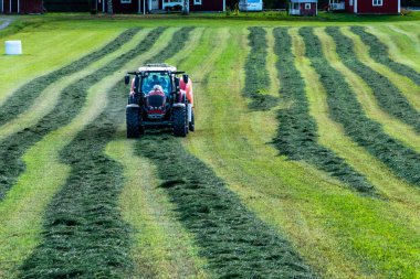 Umea, Sweden A tractor plows a field to make hay bales.