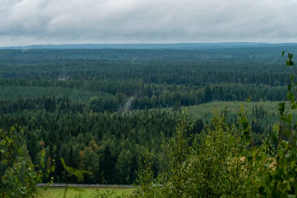 Burtrask, Sweden,  A forest lanscape in Norrland.