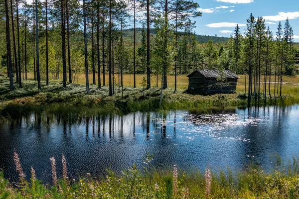 Umea Σουηδία Μια Μικρή Ξύλινη Καλύβα Ένα Βάλτο — Φωτογραφία Αρχείου