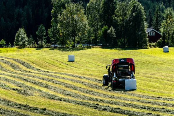 Umea, Sweden A tractor plows a field to make hay bales.