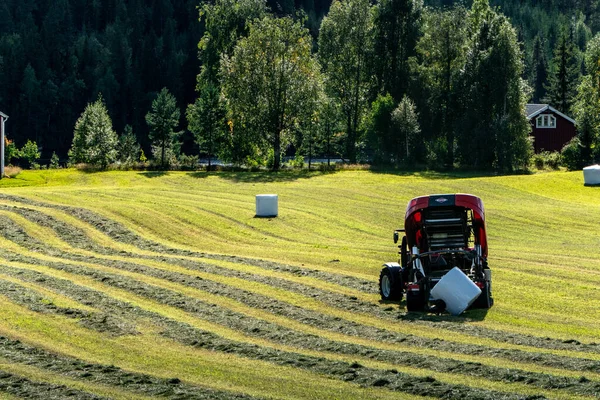 Umea, Sweden A tractor plows a field to make hay bales.