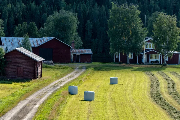 Umea, Sweden A tractor plows a field to make hay bales.