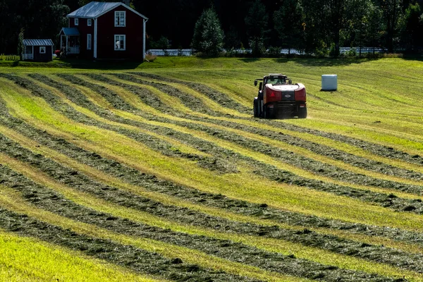 Umea, Sweden A tractor plows a field to make hay bales.