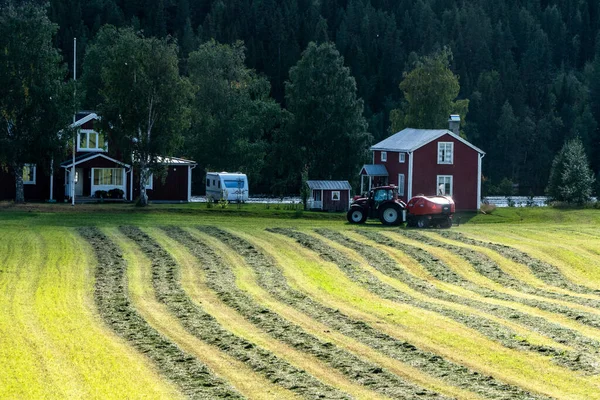 Umea, Sweden A tractor plows a field to make hay bales.