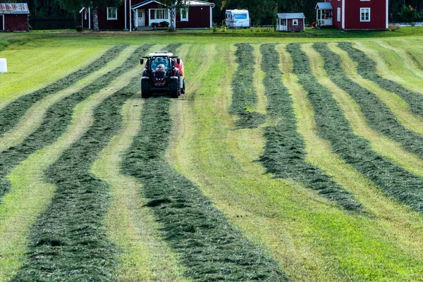 Umea, Sweden A tractor plows a field to make hay bales.