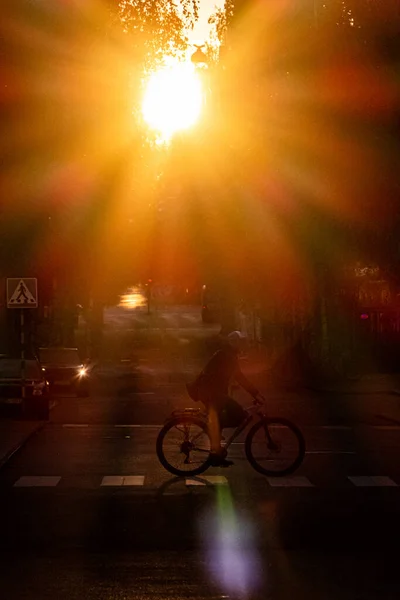 Umea Sweden Bicyclist Downtown Setting Sun — Foto de Stock