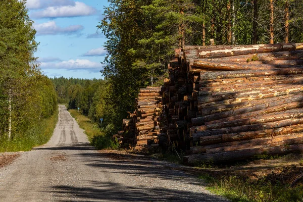 Arvidsjaur, Sweden fresh cut timber piled high on the side of a dirt road.
