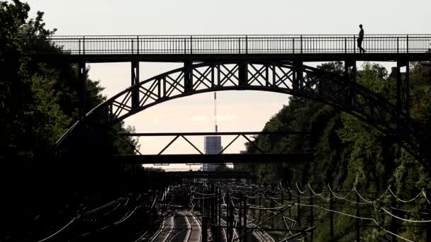 Copenhagen Denmark People Cross Antique Pedestrian Bridge Track Carlsberg Byn — ストック動画