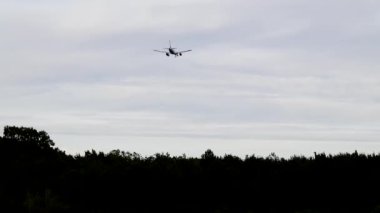 Kopenhag, Danimarka Ağaçların üzerinden Kastrup havaalanına bir uçak yaklaşıyor.