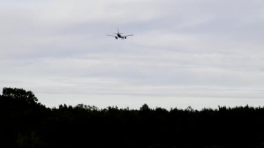 Kopenhag, Danimarka Ağaçların üzerinden Kastrup havaalanına bir uçak yaklaşıyor.